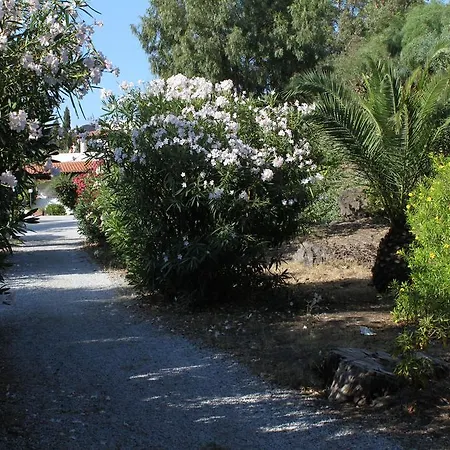 Casa Schmidt